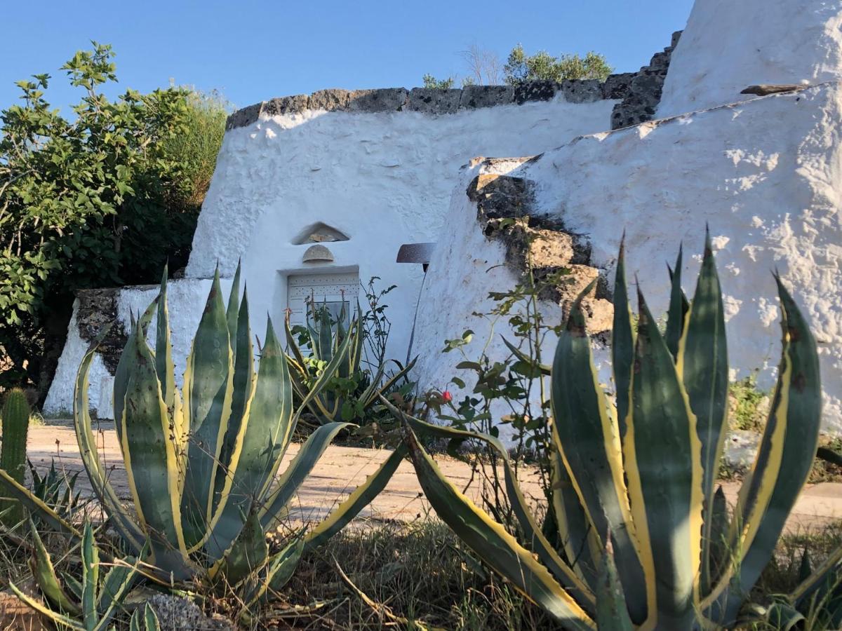 לינה וארוחת בוקר סאניקולה Trullo Mareposa מראה חיצוני תמונה
